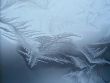 Frosty pattern