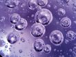 Lilac bubbles