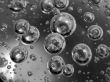 Bubbles