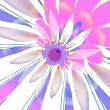 Lilac abstraction flower