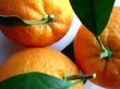 photo of a navel oranges