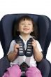 Car Seat 002