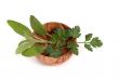 Sage and parsley