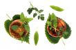 Herbs 002