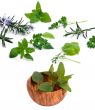Herbs 001
