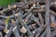 Wooden logs