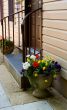 Doorway Flower Pot