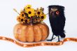 Pumpkin with Owl, Flowers, and Trick or Treat