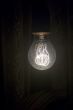 electric lamp