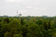church in forest