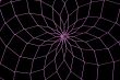 net pattern