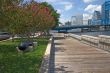 jax riverwalk