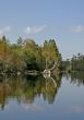 scenic lake reflections