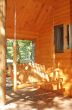 cabin with porch swing