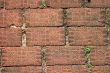 old style brick pavers