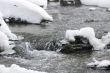 flowing water with snow and rocks