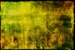 backgrounds