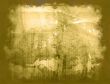 backgrounds