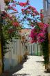 Street With Flowers