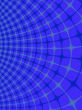 Blue net
