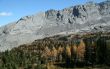 Whistling Ridge with larches