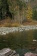 McDonald River,autumn