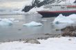 Weddell seal & Gentoo penguins