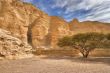 Ancient walls of a canyon