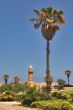 Palm trees and towers.