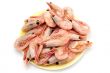 shrimp