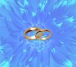 Wedding rings on blue flower