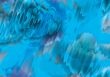 Abstraction water texture