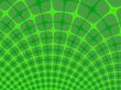Green net