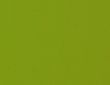 Green Silk