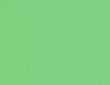 Green Silk