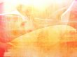 backgrounds