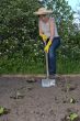 garden work