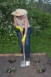 garden work