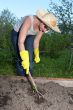 garden work