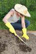 garden work