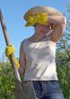 garden work