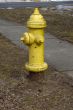 Fire Hydrant