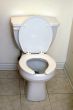 Toilet Bowl