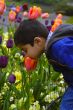 Smelling Flower