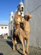 monsaraz with streets decorated