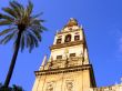 Tower Of Mezquita