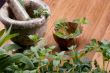 Herbs 018