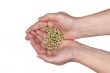 Two hands holding seeds