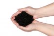 Two hands holding Dirt