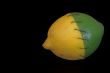 Stitched Lemon and Lime